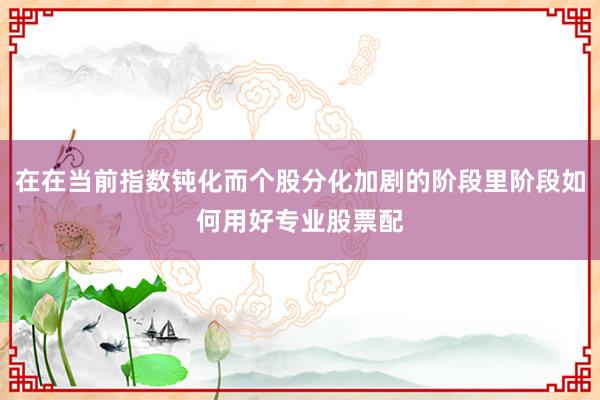 在在當(dāng)前指數(shù)鈍化而個股分化加劇的階段里階段如何用好專業(yè)股票配