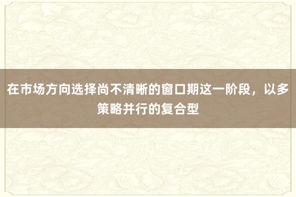 在市場(chǎng)方向選擇尚不清晰的窗口期這一階段，以多策略并行的復(fù)合型