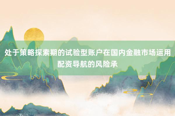 處于策略探索期的試驗(yàn)型賬戶在國(guó)內(nèi)金融市場(chǎng)運(yùn)用配資導(dǎo)航的風(fēng)險(xiǎn)承