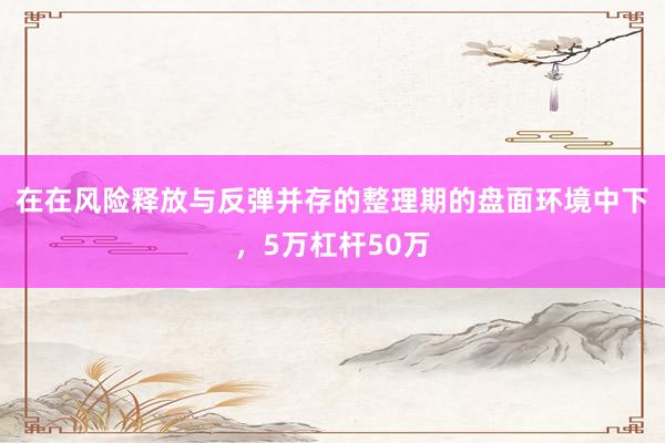 在在風(fēng)險(xiǎn)釋放與反彈并存的整理期的盤(pán)面環(huán)境中下，5萬(wàn)杠桿50萬(wàn)