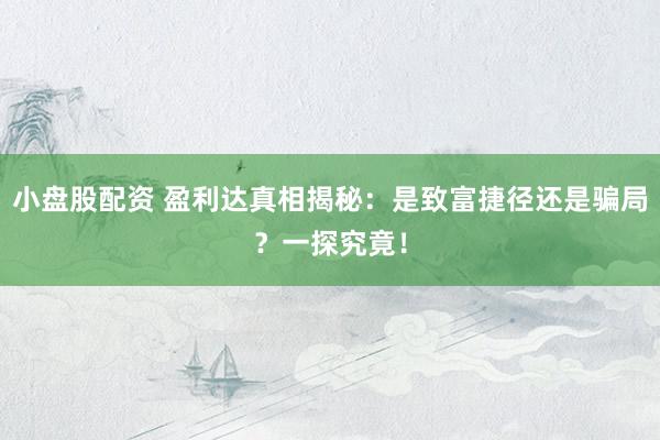 小盤(pán)股配資 盈利達(dá)真相揭秘：是致富捷徑還是騙局？一探究竟！